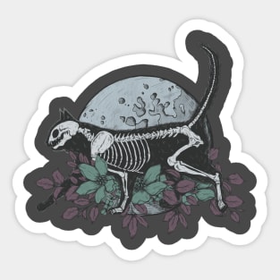 Cat and the moon Sticker